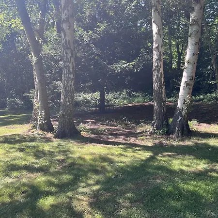 Bois Des Communes * Varengeville-sur-Mer